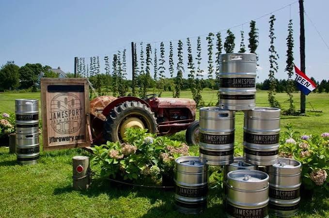 Jamesport Farm Brewery kegs and hop vines