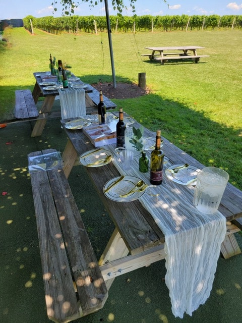 Outdoor vineyard dining setup with picnic tables and wine bottles