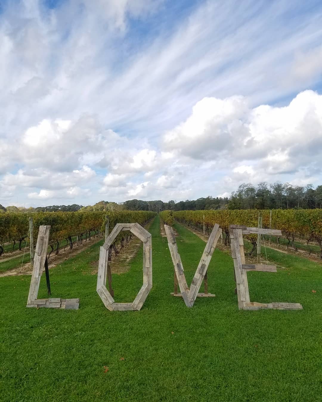 LOVE sign at a North Fork vineyard